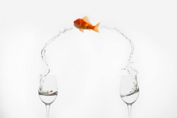 Photograph Jose Beut Jump on One Eyeland